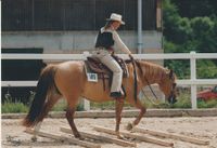 Allaround-Champion Timm Thunderheart QH